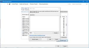 Adding A Program In Windows Firewall 