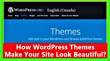 WordPress Themes