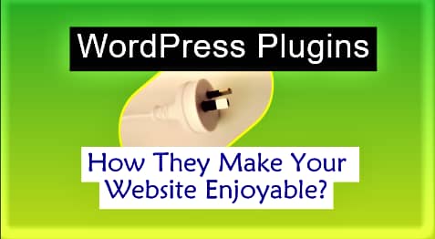 Figure 1: What Are WordPress Plugins And How Do They Work?