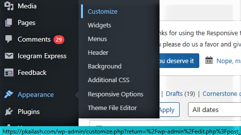 Figure 8: In The Dashboard, Go To Appearance And Then Click On Customize In The Menu That Pops up