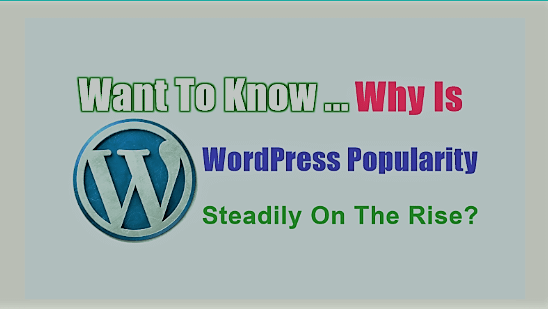Why Is WordPress Popularity Steadily On The Rise?