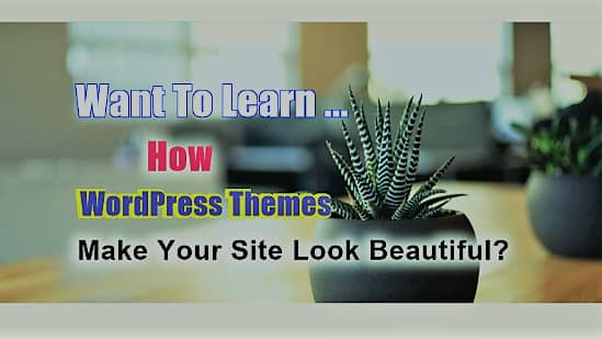 How WordPress Themes Make Your Site Look Beautiful?
