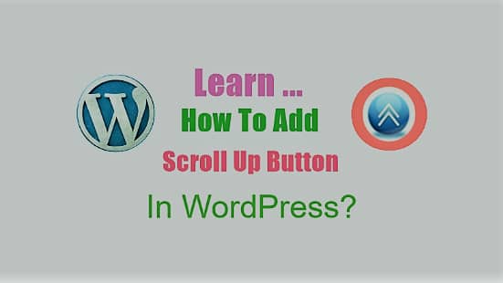 How To Add Scroll Up Button In WordPress?