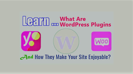 How WordPress Plugins Make Your Site Enjoyable?